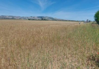 terrain_a_vendre_3000130657288532669